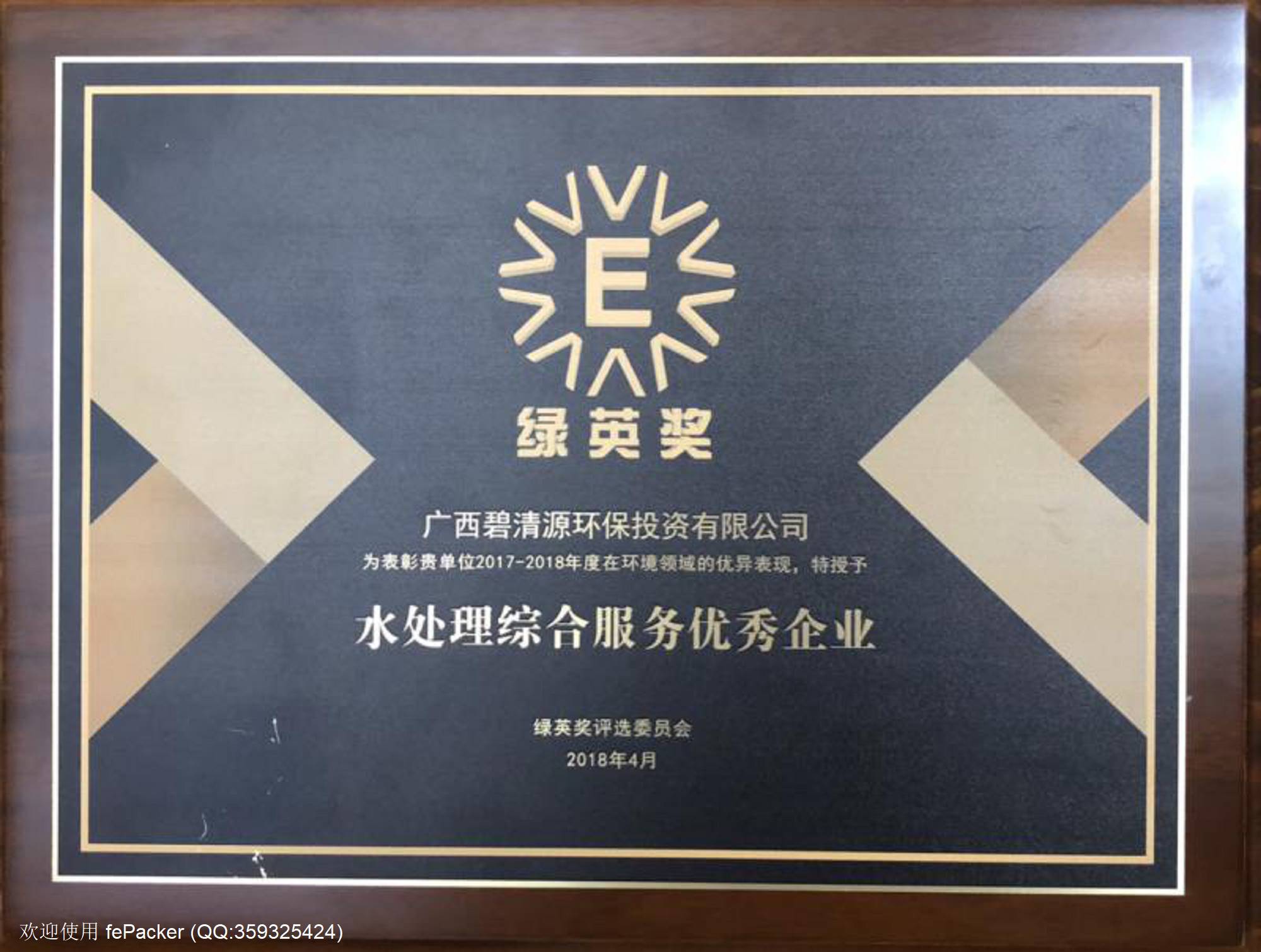 2017-2018年度“绿英奖”--水处理综合服务优秀企业.jpg