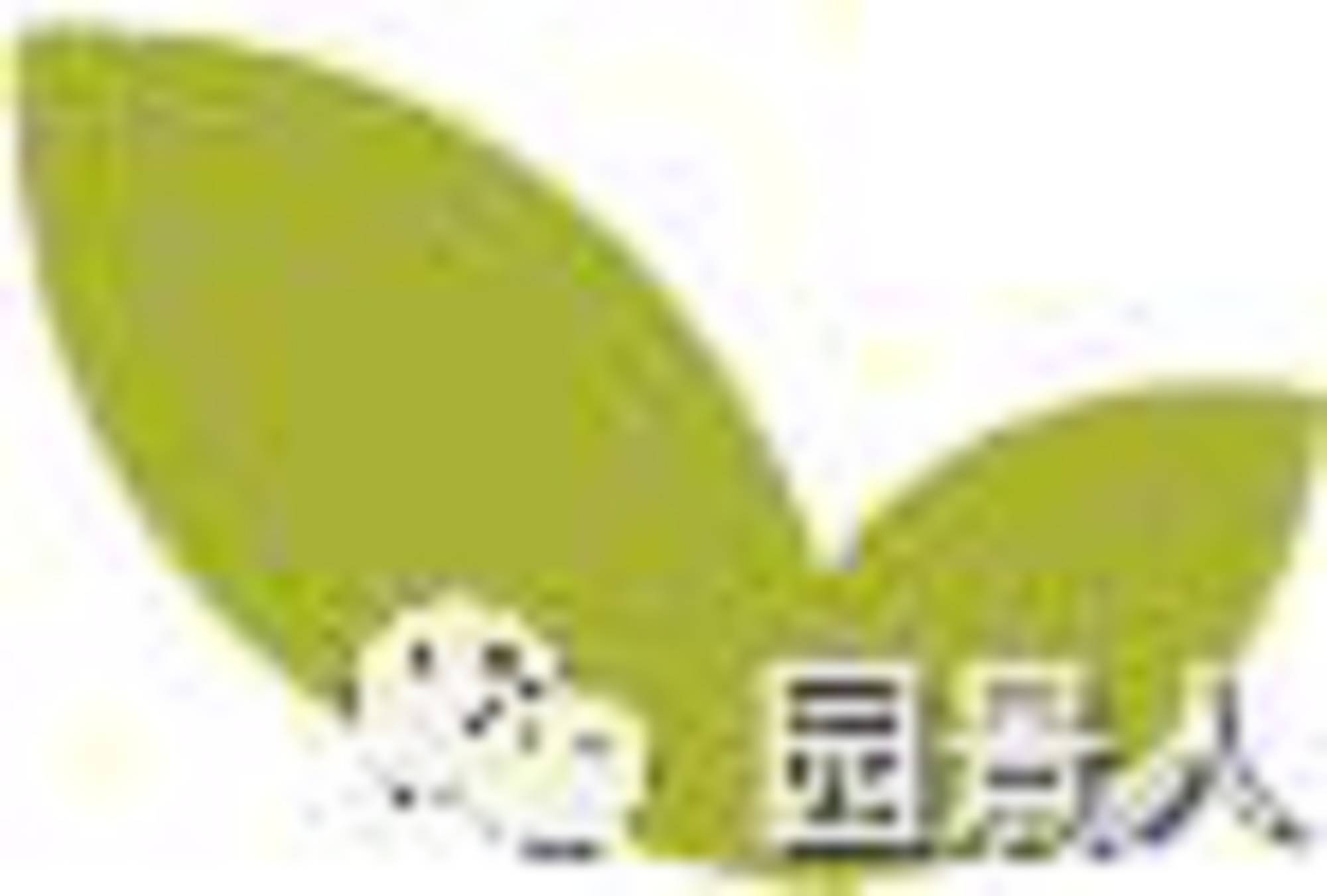创意水系驳岸营造形式汇总 · 实用