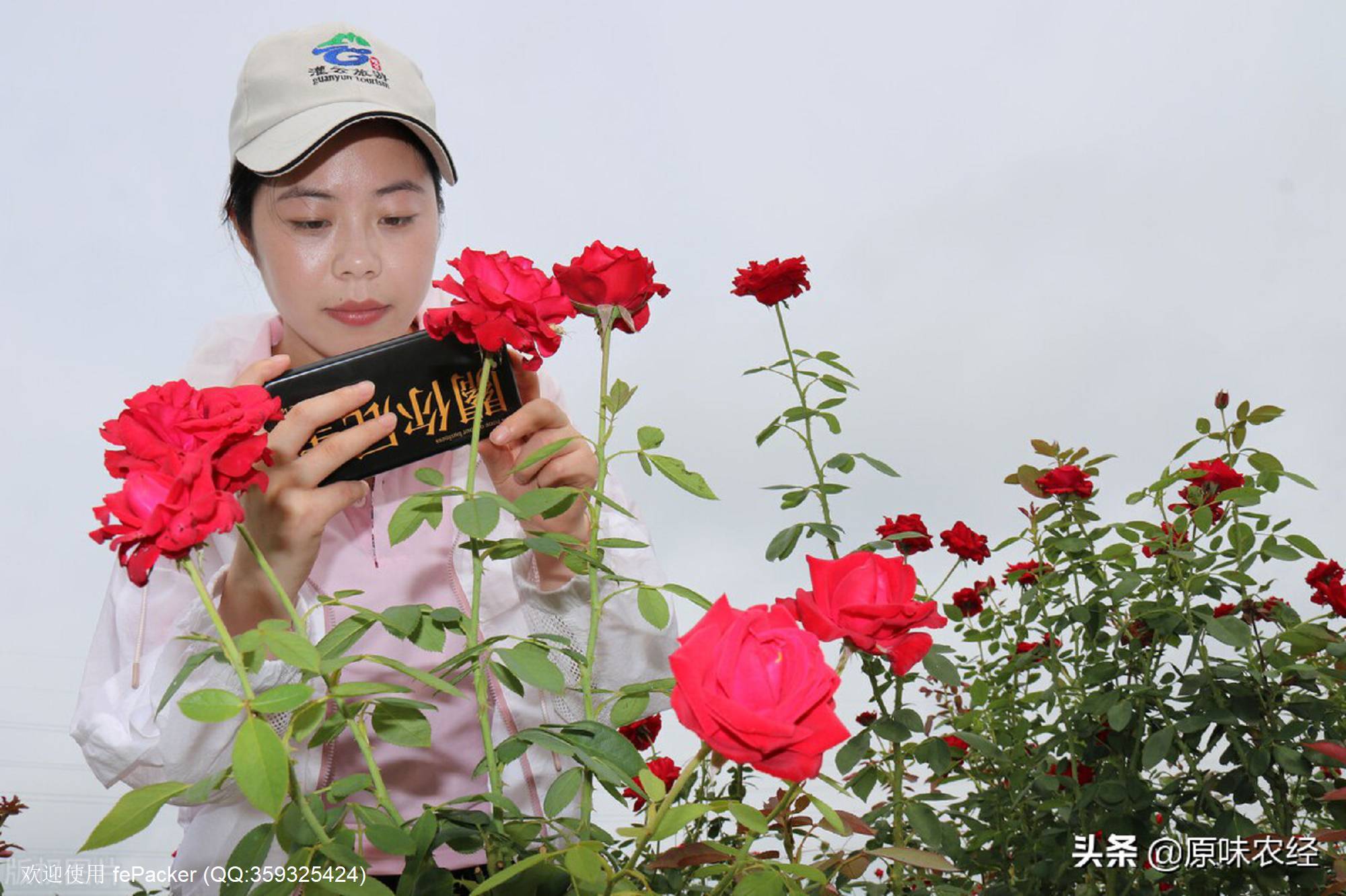 遵循产业发展规律：停止运动式产业振兴
