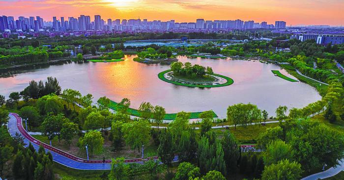 ImageFetcher (12).jpg