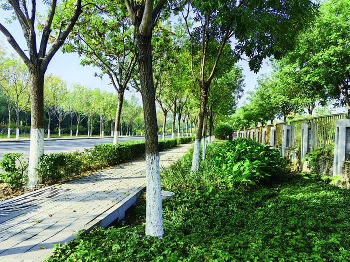 ImageFetcher (8).jpg