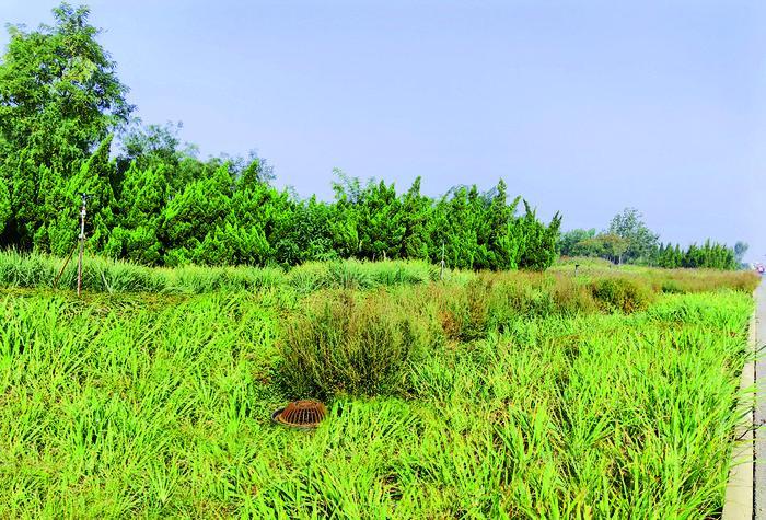 ImageFetcher (9).jpg