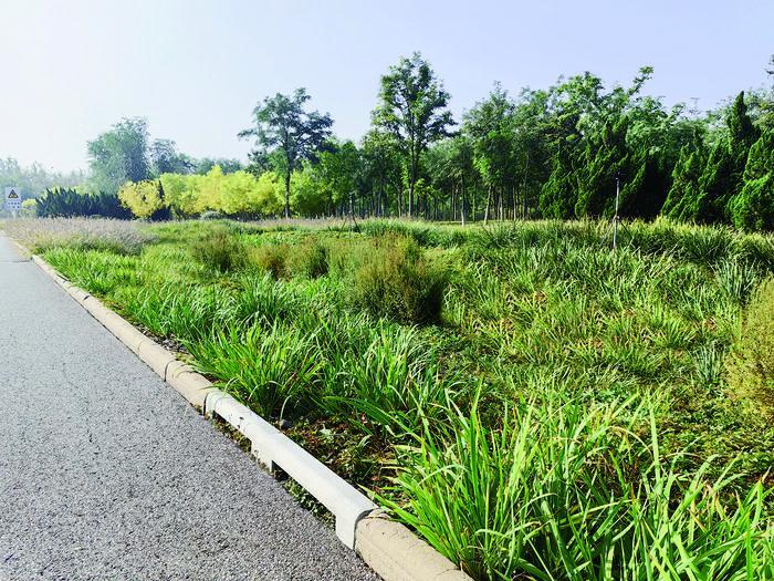 ImageFetcher (10).jpg