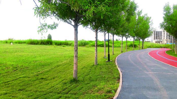 ImageFetcher (6).jpg