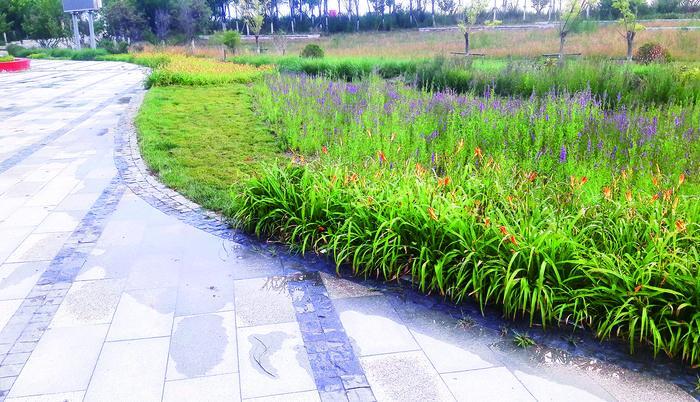 ImageFetcher (7).jpg