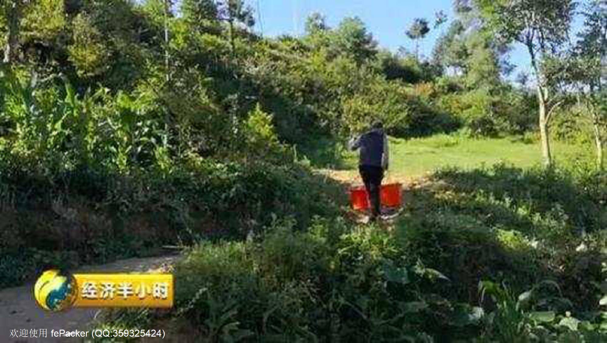 饮水工程10年未见滴水却通过验收，民生工程容不得糊涂账