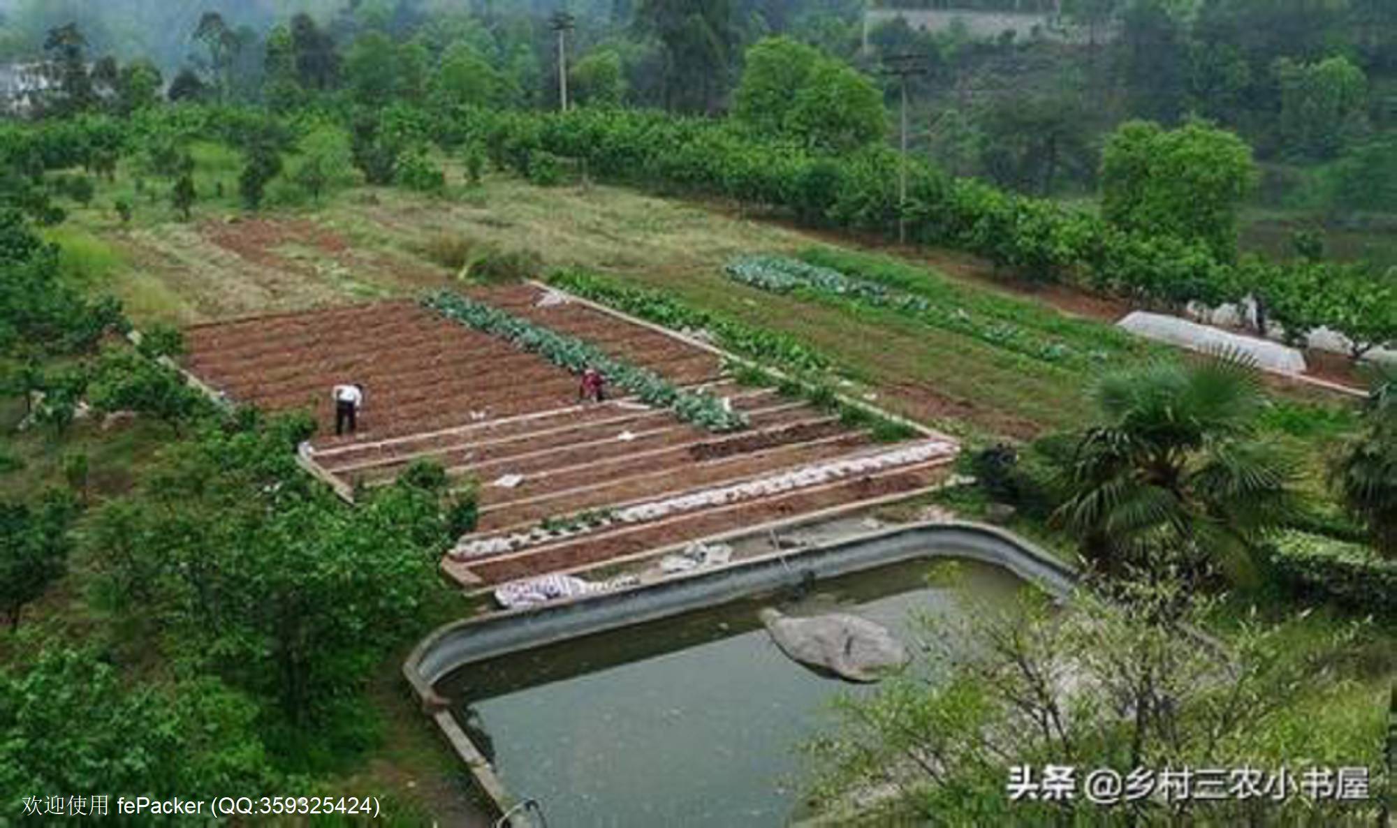 土地问题的焦点是利益分配而不是资源保护