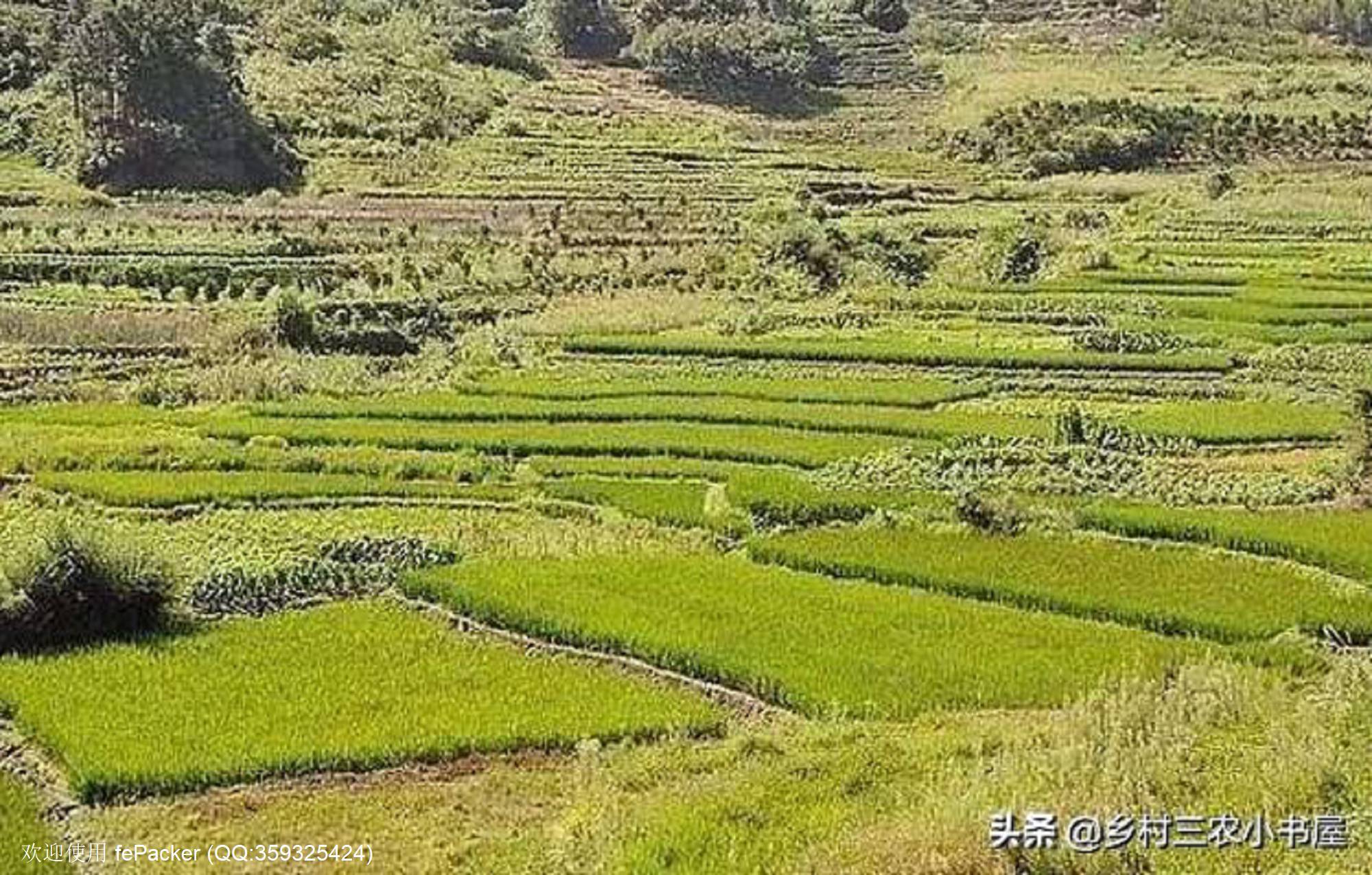 土地问题的焦点是利益分配而不是资源保护