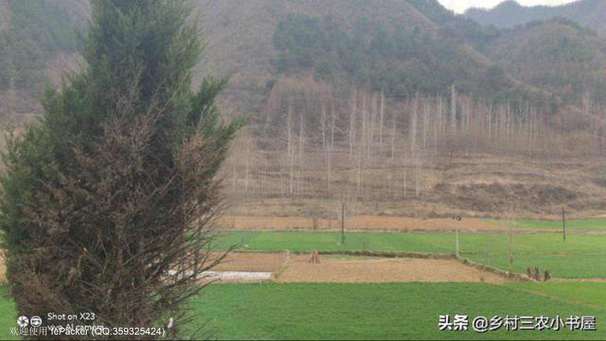 土地问题的焦点是利益分配而不是资源保护