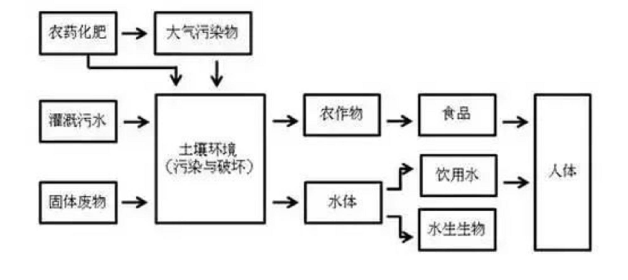 4ea2875e546d2f85f2e6e09ff32e9286.jpg