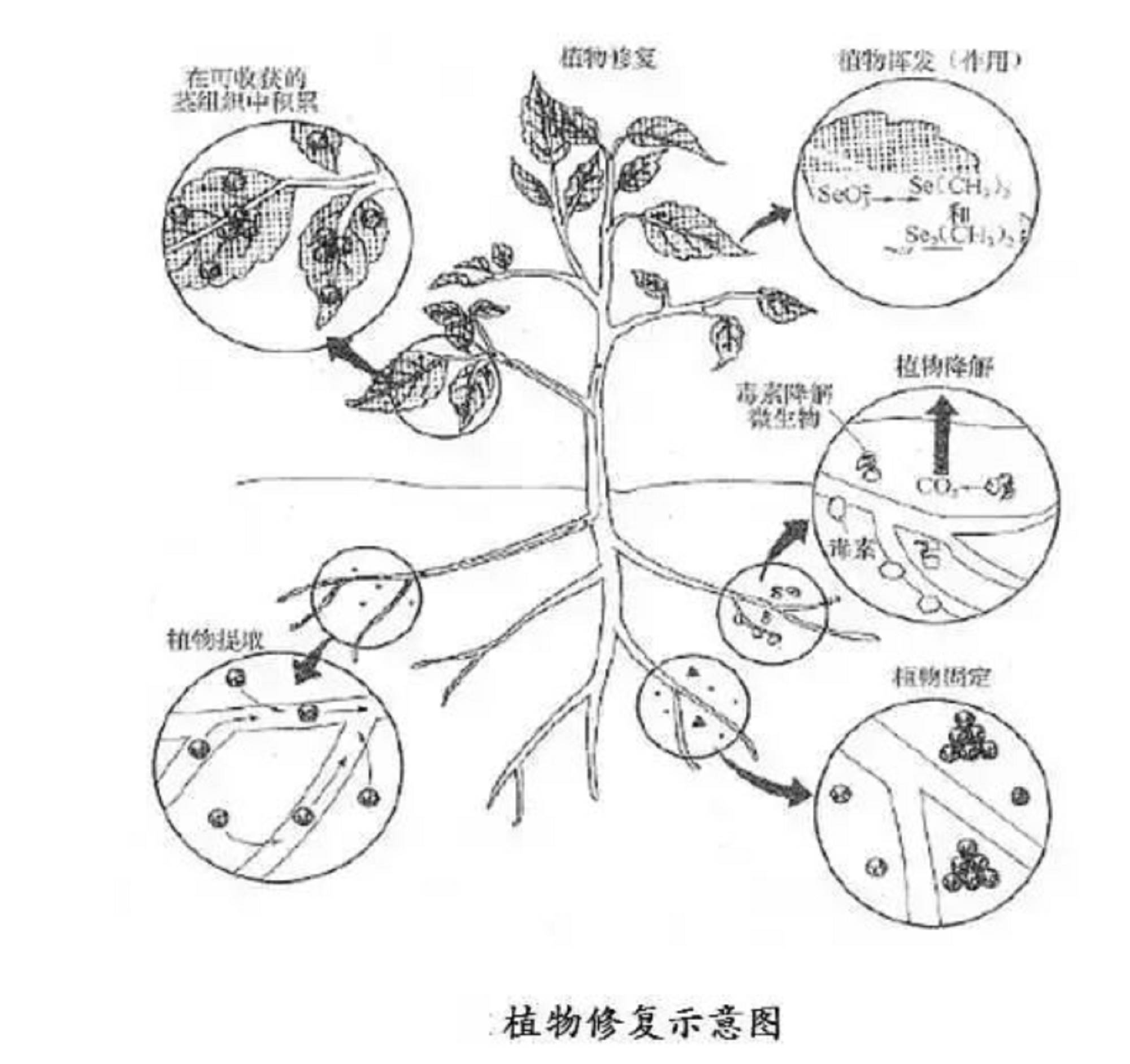 1e02c0e584f44bf36c26355a2a537fd5.jpg