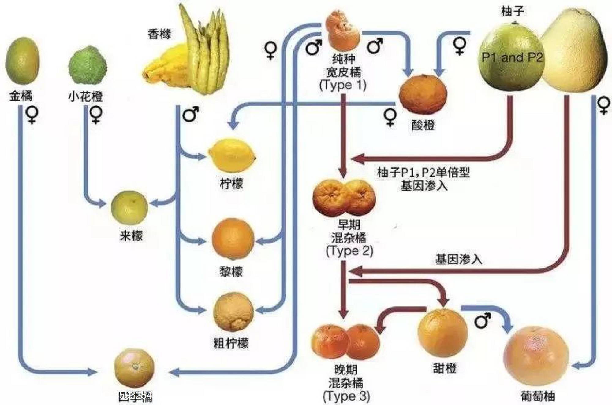 adf1c6a69333508758fa5ce487786e8e.jpg